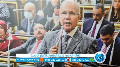 برلماني: دعوة الرئيس للحوار الوطني هدفها إعلاء مصلحة الوطن 