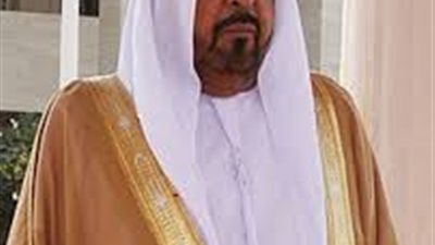 كيف دعم الشيخ خليفة بن زايد آل نهيان الدولة المصرية؟