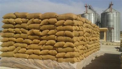 التموين تكشف تفاصيل اكتمال السعة التخزينية لأول صومعة بتوشكى (فيديو)