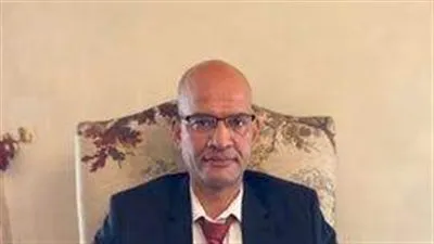 لجنة الصناعات الصغيرة: أسعار الأخشاب ارتفعت بنسبة 25 إلى 30%