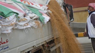 محافظ بورسعيد يشهد بدء استلام القمح المحلي بصوامع المنطقة الصناعية 