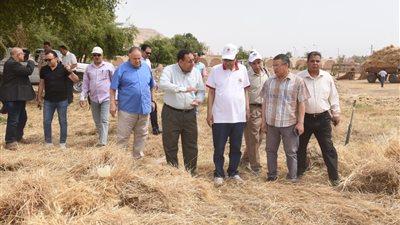 رئيس جامعة سوهاج يفتتح موسم حصاد القمح بمزرعتي الكوامل والكوثر