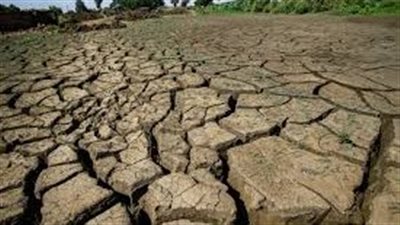 بسبب جفاف القرن الإفريقي.. الأمم المتحدة تحذر من خسائر في الأرواح