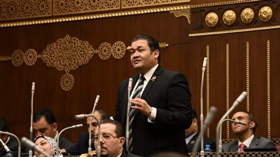 نائب التنسيقية: استراتيجية مراكز الإبداع أصابها التقادم.. والإدارة بالأهداف 