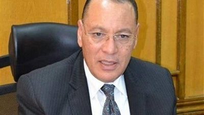 محافظ الشرقية: نتصدر توريد القمح على مستوى الجمهورية (فيديو)