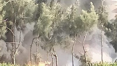 السيطرة على حريق بقطعة أرض بالقليوبية (صور)