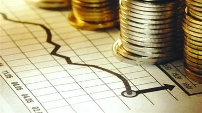 خبيرة: زيادة أسعار الفائدة تشكل مخاطر كبيرة على الاستثمار المباشر