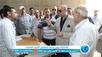 محافظ بني سويف يتفقد منظومة توريد واستلام القمح المحلي