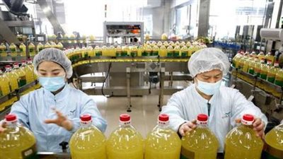 عاجل.. إندونيسيا  تعلن إلغاء حظر تصدير زيت النخيل 