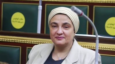 برلمانية: توجيهات الرئيس بشأن الشركات الناشئة سينعكس إيجابيا على الاقتصاد 