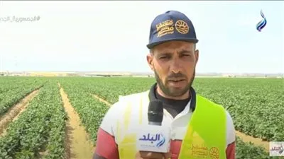 أحد المزارعين بمشروع مستقبل مصر: 