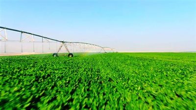 نقيب الزراعيين: نشهد ثورة زراعية حديثة.. ومستقبل مصر نواة للدلتا الجديدة