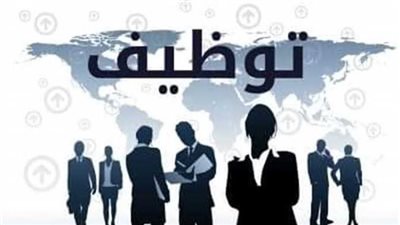 القوى العاملة بالمنيا: تعيين 747 شابًا بمنشآت القطاع الخاص والاستثماري