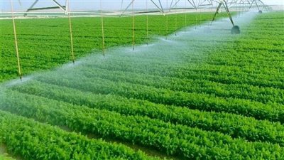 مدير مشروع مستقبل مصر: وفرنا 10 آلاف فرصة عمل ونزرع جميع المحاصيل الاستراتيجية