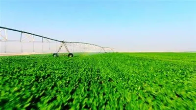 أستاذ مناخ: مشروع مستقبل مصر يزيد إنتاجية المحاصيل والمسطح الأخضر (فيديو)