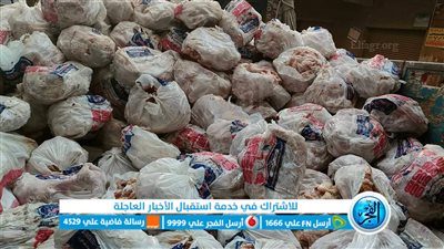 إحباط ترويج 11.5 طن دواجن غير صالحة للاستهلاك البشري في الحي الشعبي (صور)