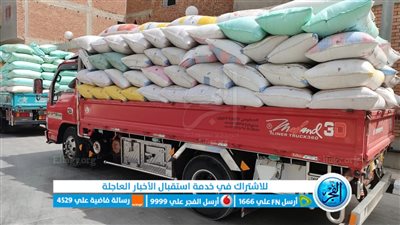 شون وصوامع البحيرة تستقبل 235 ألف طن قمح (صور)