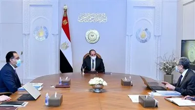 عاجل.. السيسي يصدر توجيهات جديدة إلى وزير الكهرباء