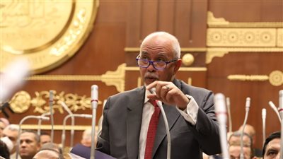 برلماني: الحوار الوطني تحد للأحزاب للمشاركة في بناء الجمهورية الجديدة 