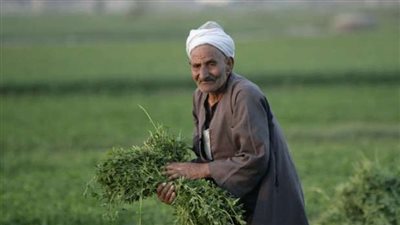 الزراعة تزف بشرى سارة لـ فلاحي مصر (فيديو)