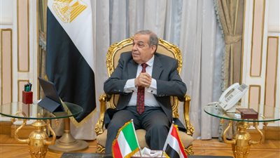 وزير الإنتاج الحربي يلتقي السفير الإيطالي لبحث التعاون مع الشركات الإيطالية