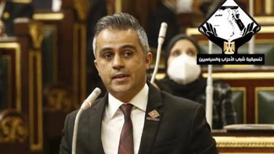 تضامن النواب: حريصون على وجود أكبر قدر من المزايا بقانون حقوق المسنين