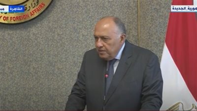 وزير الخارجية: نتطلع لاستمرار التنسيق والتعاون مع الأردن والعراق 