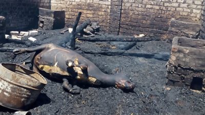 السيطرة على حريق نشب في منزل بدشنا 