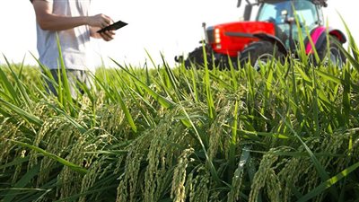 البحوث الزراعية: مصر تعتبر قبلة الدول الأفريقية في القطاع الزراعي (فيديو)