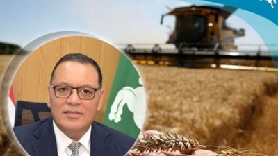 محافظ الشرقية يُعلن حصاد 421 ألف و761 فدان قمح حتى الآن