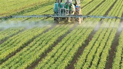 جابر السعدي: مشروع مستقبل مصر يساهم في سد الفجوة بين الإنتاج والاستهلاك (فيديو)