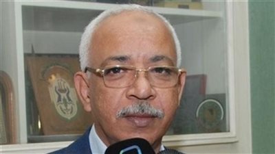 نائب رئيس اتحاد نقابات عمال مصر: نسبة التصويت في انتخاباتنا تتجاوز 95%