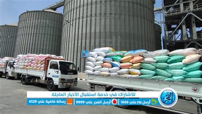 توريد 311 ألف طن قمح لشون وصوامع البحيرة (صور)