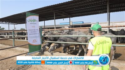 تيسيرًا علي المضحين.. الأورمان تطلق حملة صكوك الاضاحي 2022