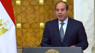 السيسي: المباحثات مع الرئيس البولندي تطرقت للقضية الفلسطينية (فيديو)