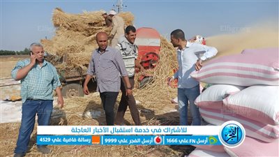 تحرير 72 محضرا لأصحاب حيازات زراعية لعدم توريد 265 طن قمح للشون بالبحيرة (صور)