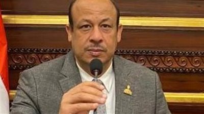 برلماني: استكمال مشاريع التنمية الزراعية والخدمية في الوادي الجديد بداية واعدة للمحافظة