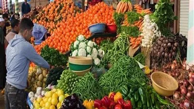 خبر سار من شعبة الخضروات حول  انخفاض الأسعار (فيديو)