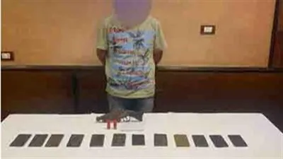 سقوط سائق بسلاح ناري وذخائر وحشيش في المطرية 