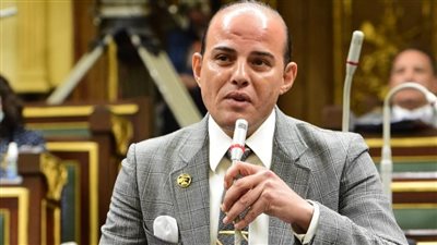 برلماني: التطوير الهائل للشبكة الكهربائية أنقذ مصر من أزمة مزمنة