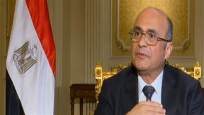 وزير العدل: الإعلان عن هيكل اللجنة المشكلة لإعداد قانون الأحوال الشخصية ظهر الغد (فيديو)