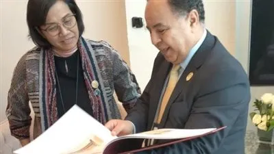 وزير المالية: حريصون على مراعاة أهداف وتطلعات الدول النامية فى مجال تمويل المناخ