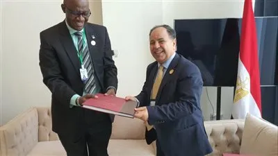 وزير المالية: نسعى لتوفير غطاء تأميني للصادرات المصرية لإفريقيا