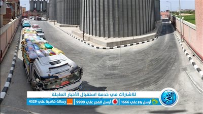 توريد 357 ألف و422 طنا من الذهب الأصفر لشون وصوامع البحيرة (صور)