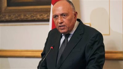 سامح شكري: بحثت مع وزير خارجية لاتفيا زيادة حجم التجارة بين البلدين