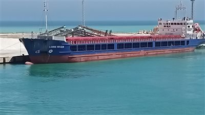 16 سفينة إجمالي الحركة الملاحية بموانئ بورسعيد