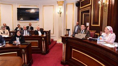 فؤاد: نتبع سياسة تحفيزية لتشجيع المصانع على التوافق البيئى