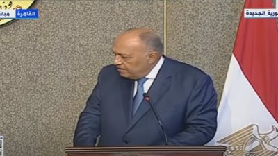 سامح شكري يكشف تفاصيل مباحثاته مع نظيرته التنزانية بشأن سد النهضة