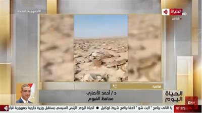 محافظ الفيوم يكشف تفاصيل اكتشاف جثث حمير متحللة على الطريق الصحراوي (فيديو)