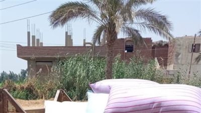 ضبط 7 أطنان قمح محلي وأسمدة زراعية محظور تداولها بالشرقية 